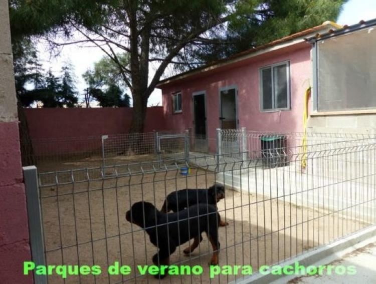 IMPORTANTE - NUESTRAS INSTALACIONES Rottweiler.