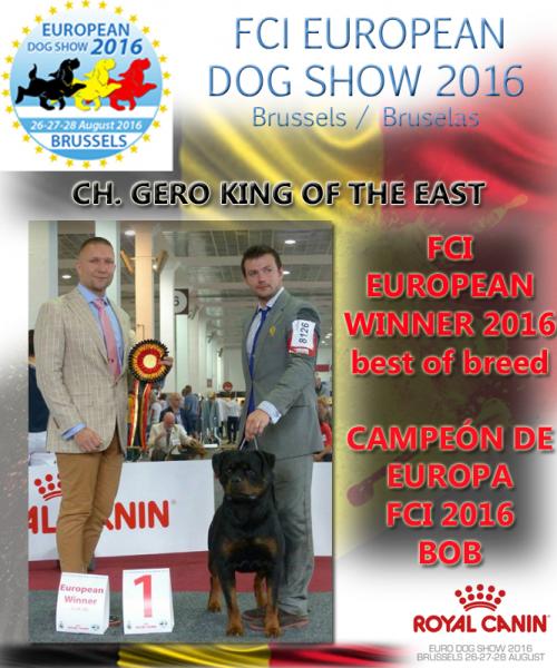GERO KING OF THE EAST - European Winner Best of Breed.