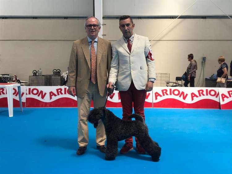 Con este punto, Mildred ha terminado el Ch. de España (p.h.).

With this point, Mildred has finished the Ch. of Spain..  Ch. Northbound Hymn To La Cadiera - Exc. 1ª-CAC-CACIB-BOB.