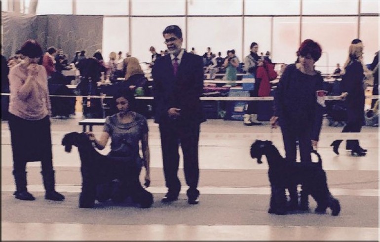  Ch. La Cadiera Fenomeno Azul - Exc. 1 - CCJ - BOB Clase Jovenes.