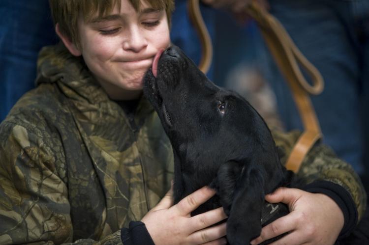 Como es la raza de perro Labrador Retriever Labrador Retriever negro con niño
