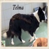 Telma Telma