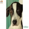 Esther Esther