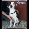 Gretel
