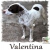 Valentina
