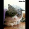 Mundo