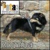 Romina Power