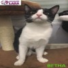 Betha Betha