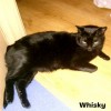 Whisky