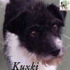 Kuxki
