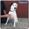 Hansel