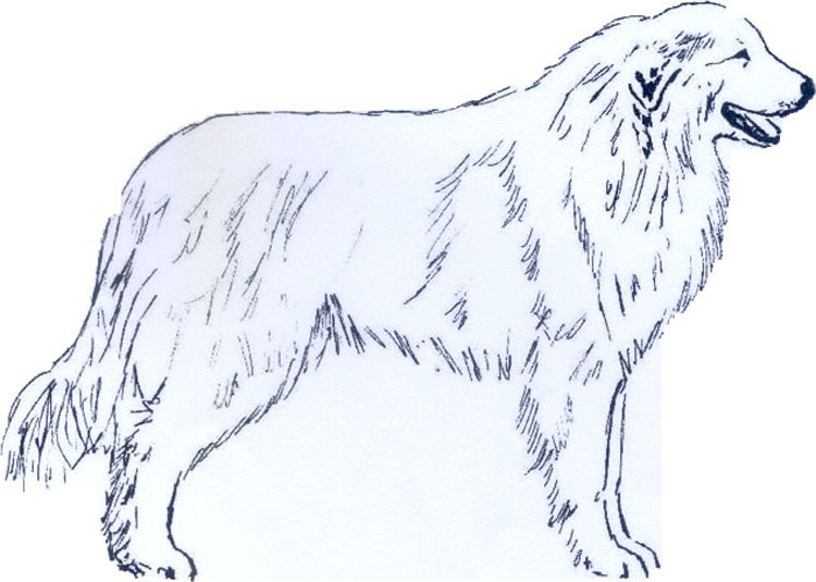 Montaña de los Pirineos