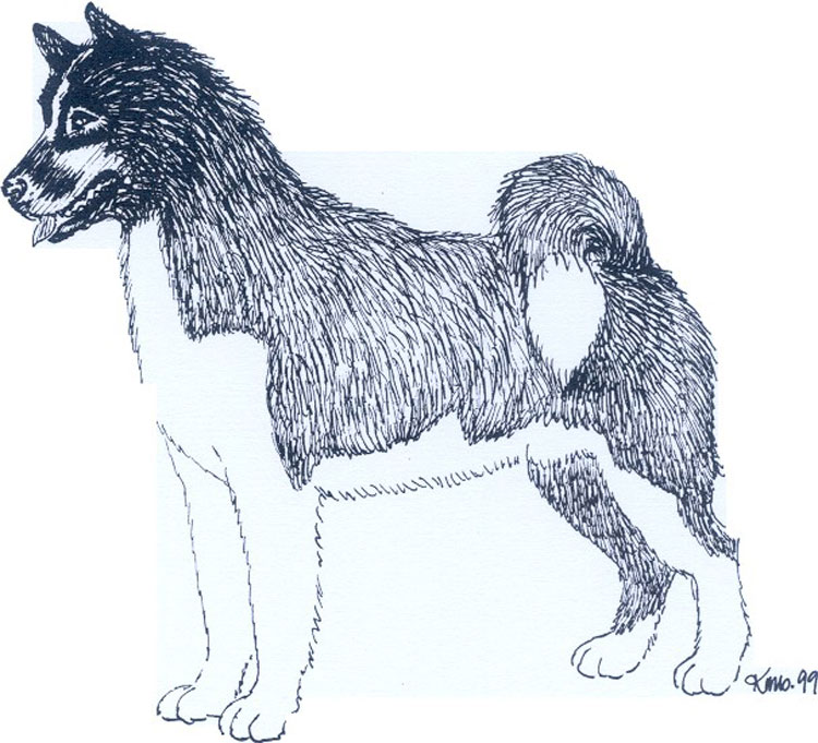 Perro de Groenlandia