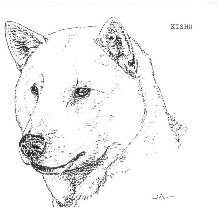 Kishu