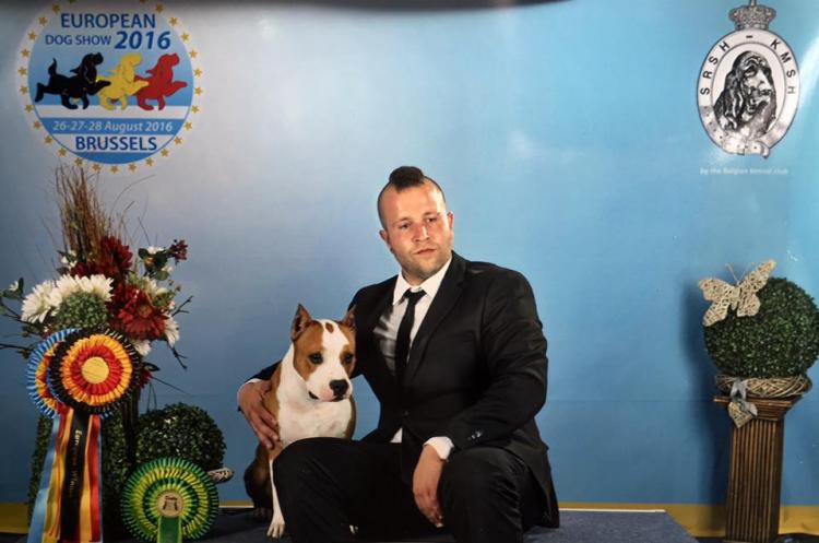 American Staffordshire Terrier. Alea Jacta Est Hispania. Exc. 1ª   CACIB   BOS.