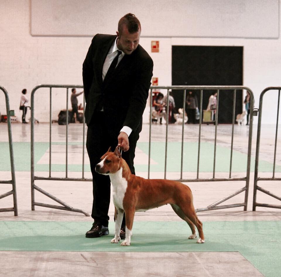 ALEA JACTA EST NEVER DIE SURRENDER.