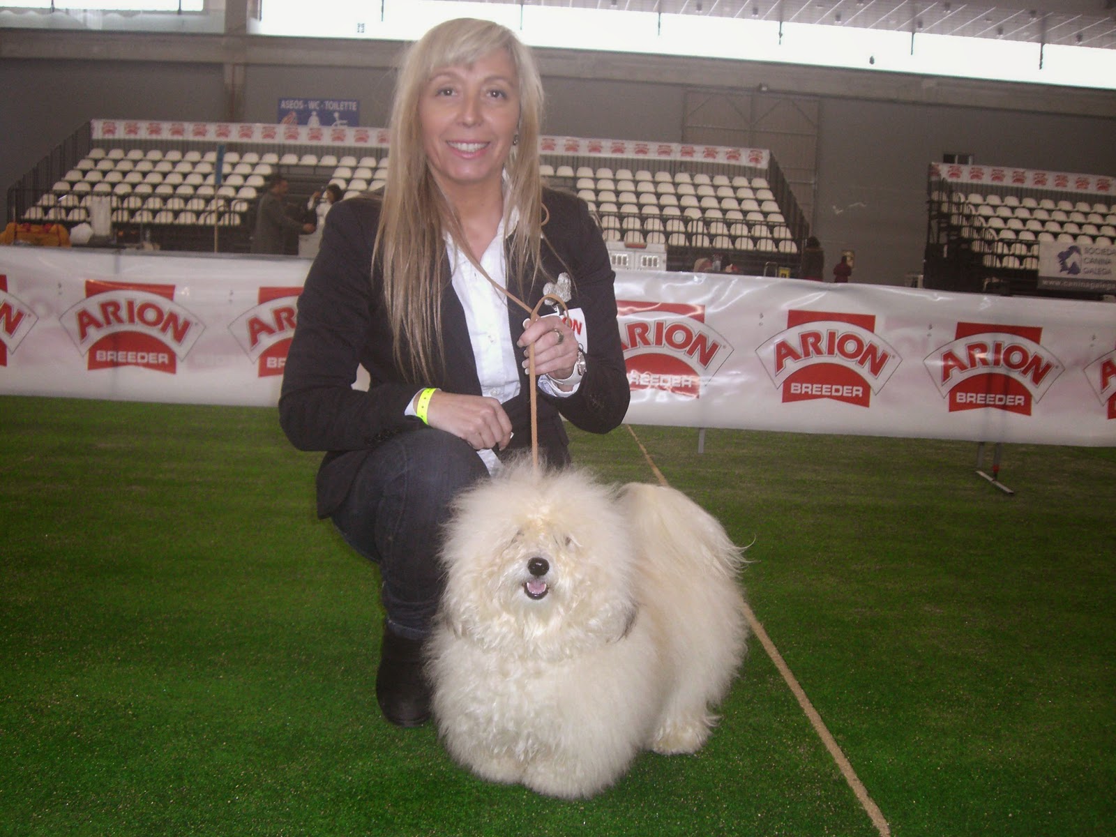 Bichón Habanero. Prairiwind´s Fina Daisy.