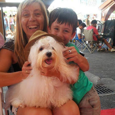 Bichón Habanero.  Ch. AMAZING DANCE KAILA.