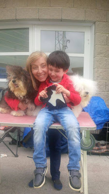 Bichón Habanero. Ch. AMAZING DANCE ZUMA. Bichón Habanero. Ch. AMAZING DANCE ZUMA.