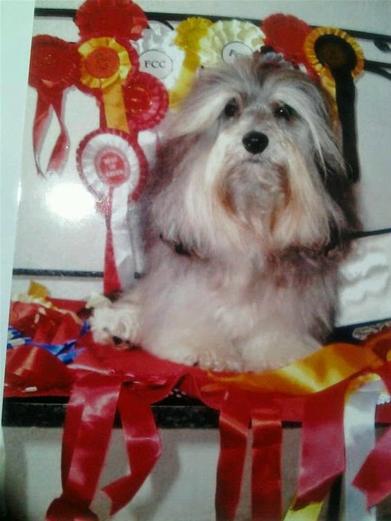 Oye Chico con sus premios.