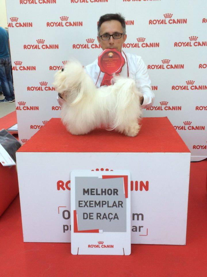 Belleza. 8.ª Exposição Canina Internacional de Braga ( - Portugal)