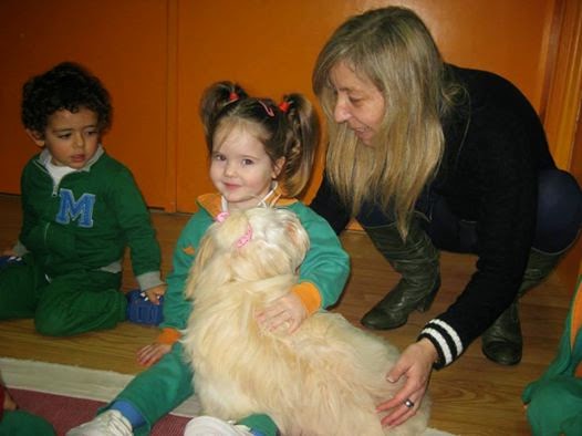 Bichón Habanero.  Ch. AMAZING DANCE KAILA.