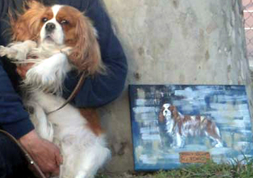 Cavalier King Charles Spaniel.  Ch. Anna Ozkydom.