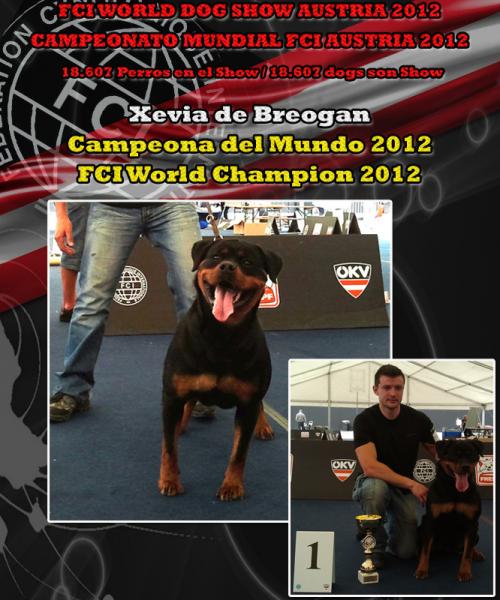 Rottweiler. W.W. Ch. Xena de Breogan. Rottweiler. W.W. Ch. Xena de Breogan.