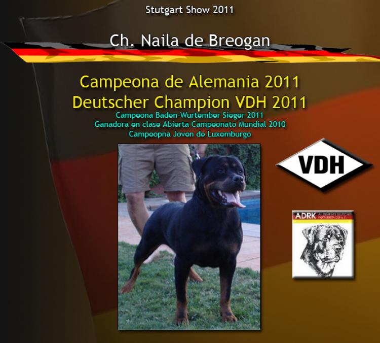 Rottweiler. Rottweiler.