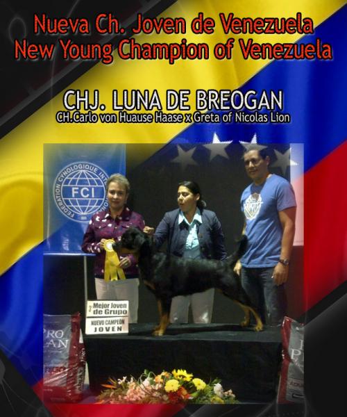 Nueva Campeona de Venezuela. Rottweiler. Jr.Ch. Luna de Breogan.