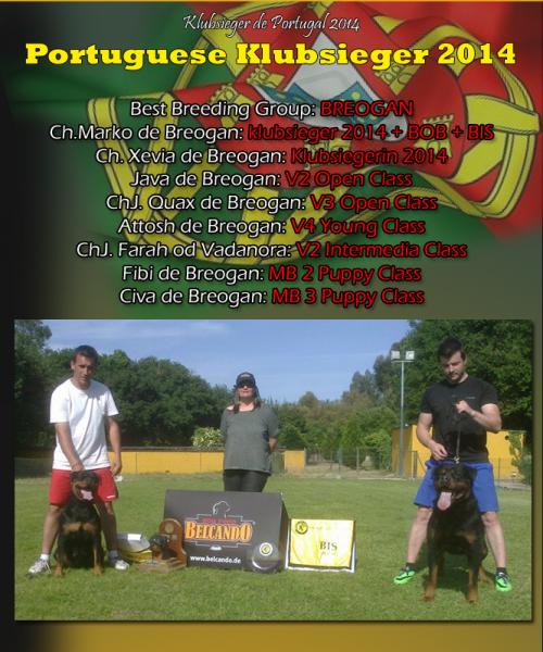 Rottweiler. Rottweiler.