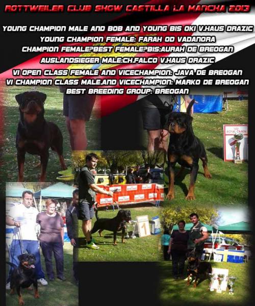 Rottweiler. Rottweiler.