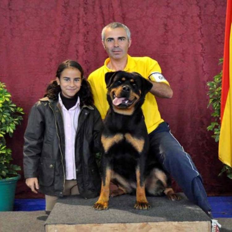 Rottweiler.  Ch. Laika De Breogan.