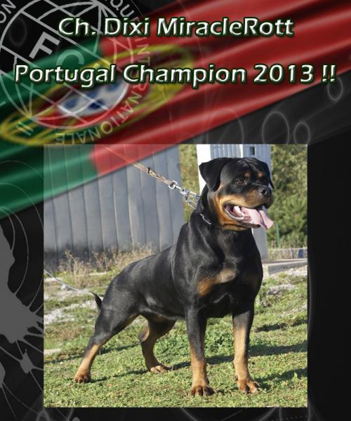 Rottweiler. Rottweiler.