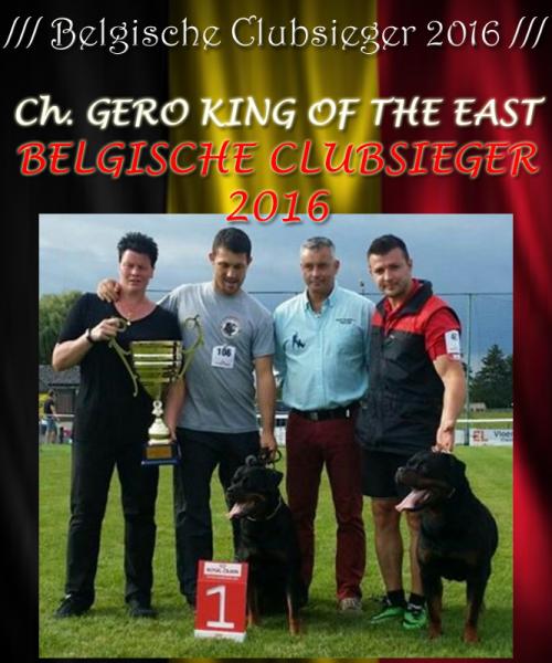 Rottweiler. GERO KING OF THE EAST. Belgische Clubsieger 2016.