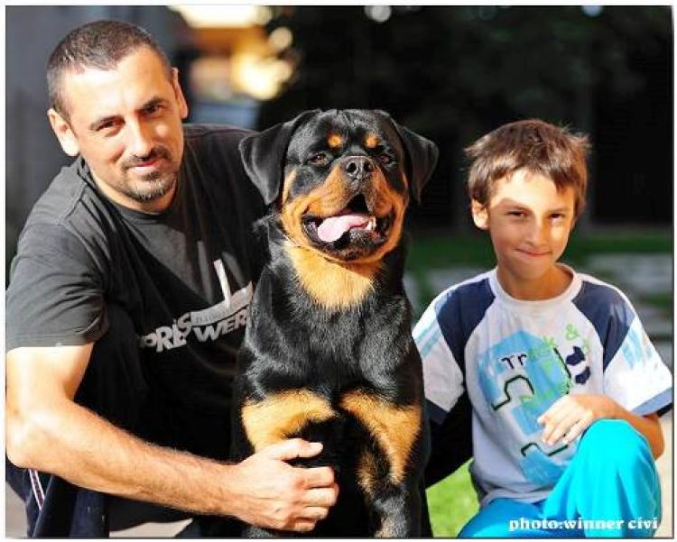 Rottweiler.  Ch. Rio Winner Civi.