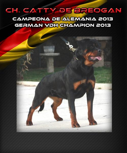 Rottweiler. Ch. Catty de Breogan. Rottweiler. Ch. Catty de Breogan.
