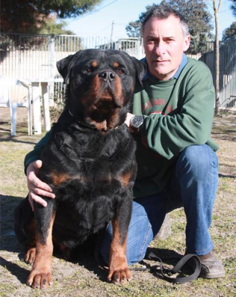 Rottweiler. Eduardo con Santos.