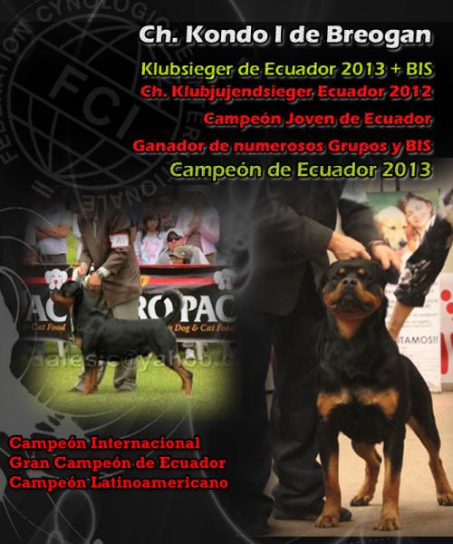 Rottweiler. Rottweiler.