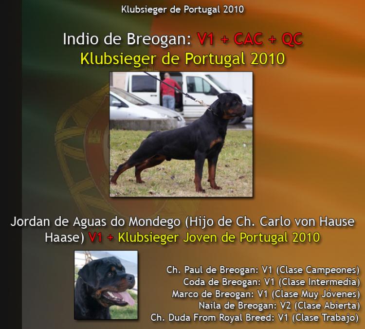 Noticias del Ch. Indio de Breogan en la Klubsieger de España y la de Portugal Rottweiler. Ch. Indio de Breogan.