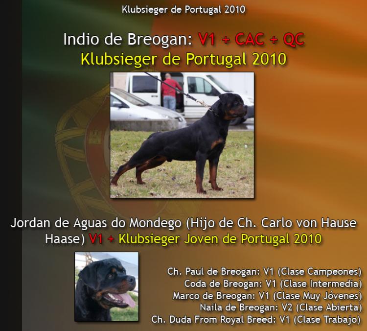 Noticias del Ch. Indio de Breogan en la Klubsieger de España y la de Portugal Rottweiler. Ch. Indio de Breogan. Noticias del Ch. Indio de Breogan en la Klubsieger de España y la de Portugal Rottweiler. Ch. Indio de Breogan.