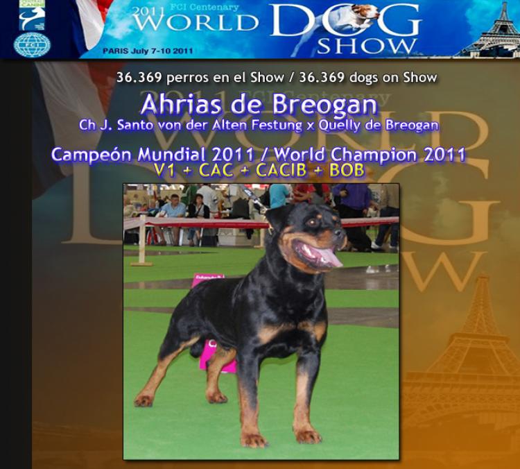 Rottweiler. Rottweiler.