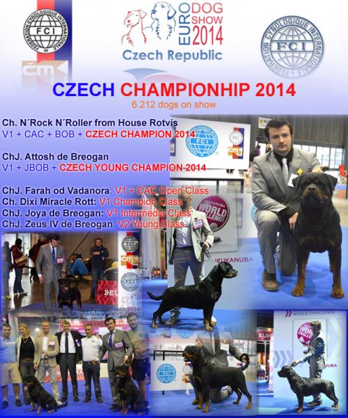 Rottweiler. Rottweiler.