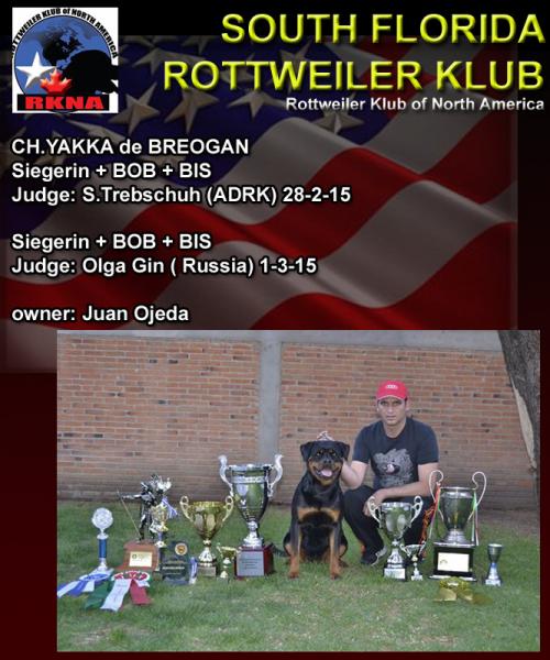 South Florida Rottwieler Club Rottweiler.