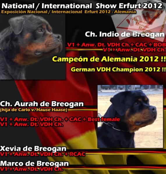 National & International Dog Show at Erfurt 2012 Rottweiler.