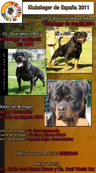 Rottweiler. Rottweiler.