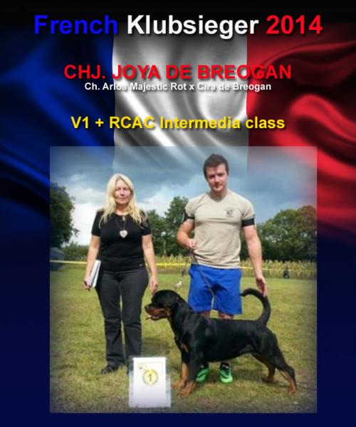 French Clubsieger 2014. Rottweiler. French Clubsieger 2014.