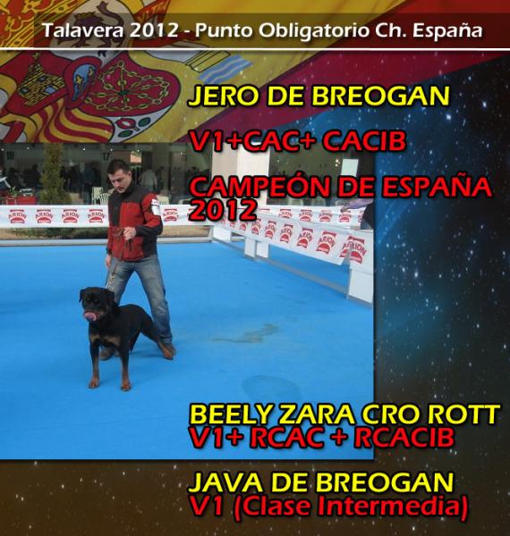 Rottweiler. Rottweiler.