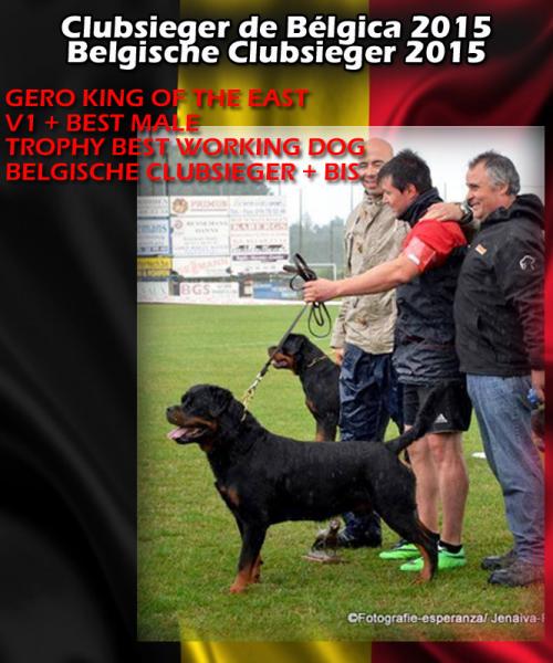 Rottweiler. CH. GERO KING OF THE EAST. Rottweiler. CH. GERO KING OF THE EAST.