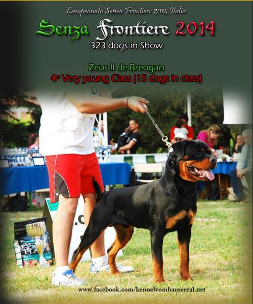 Campeonato Senza Fontiere 2014 Italia. Rottweiler. Zeus II de Breogan.